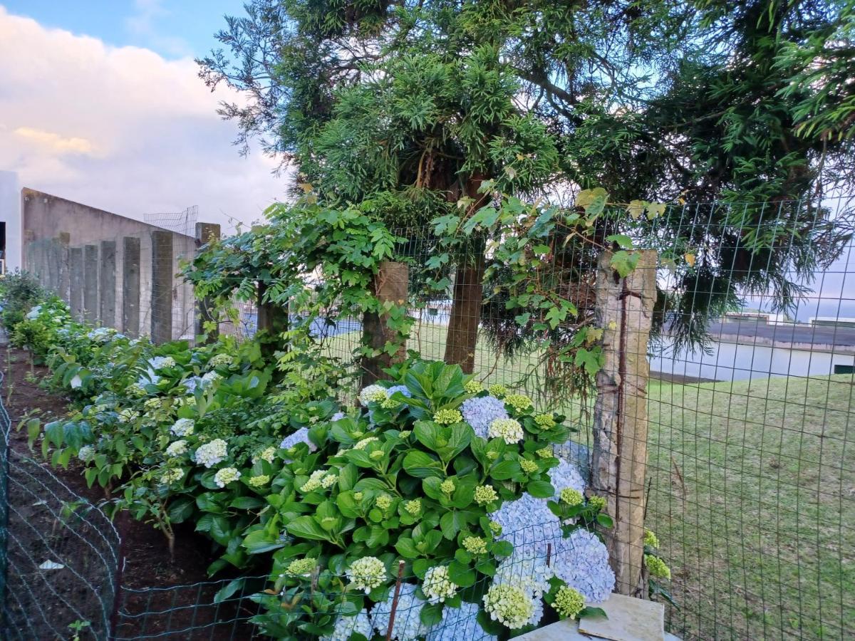 Casa Da Linda Villa Ponta Delgada  Ngoại thất bức ảnh